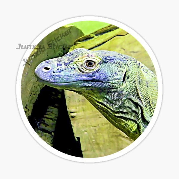 코모도 국립공원 코모도 섬 인도네시아 국립공원 동부 발 - Car Accessories Bali 리뷰 및 가격